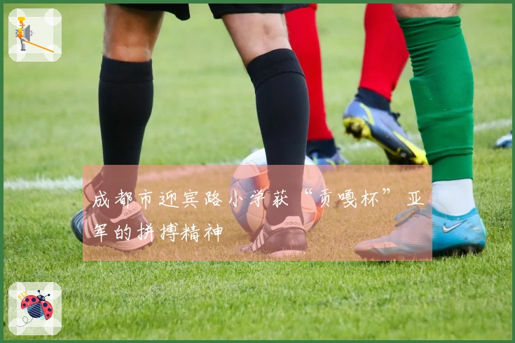 成都市迎宾路小学获“贡嘎杯”亚军的拼搏精神