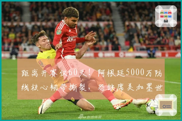 距离开赛仅60天！阿根廷5000万防线核心韧带撕裂，恐缺席美加墨世界杯
