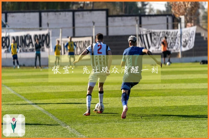 张雪：先让观众清醒一刻