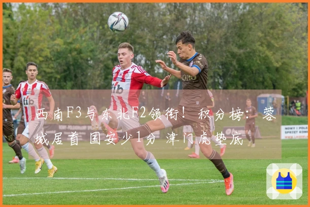 西南F3与东北F2领衔！积分榜：蓉城居首 国安少1分 津门虎垫底