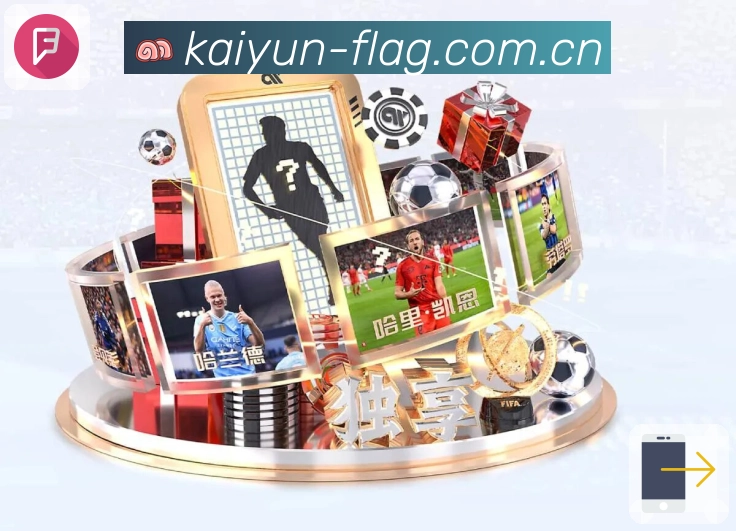 回放与集锦入口